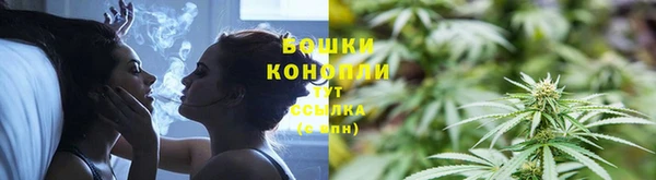 трава Абаза