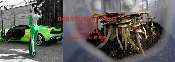 трава Абаза